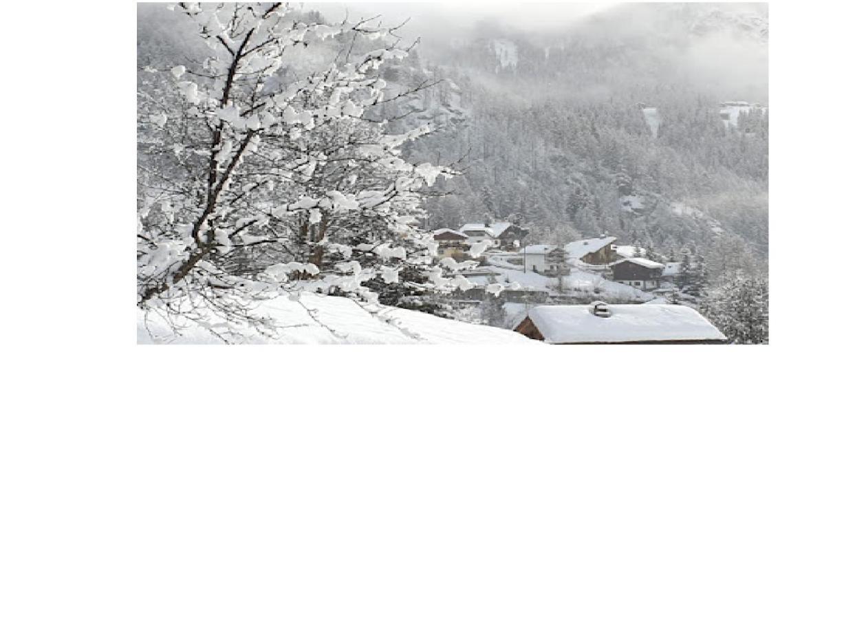 Valtournenche Appartamento Comodo Alle Piste Singlin Exterior photo